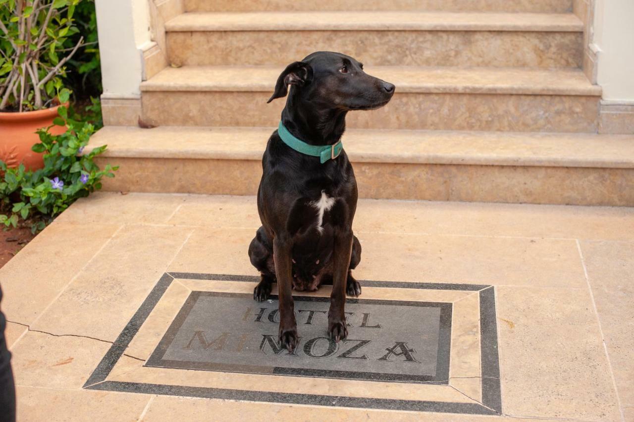 Mimoza Hotel Spetses Town Exterior photo
